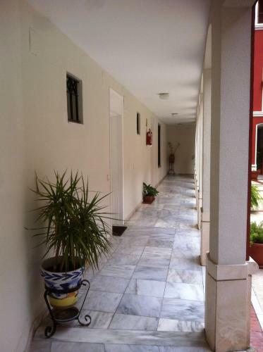 Apartamento Conde De Ibarra