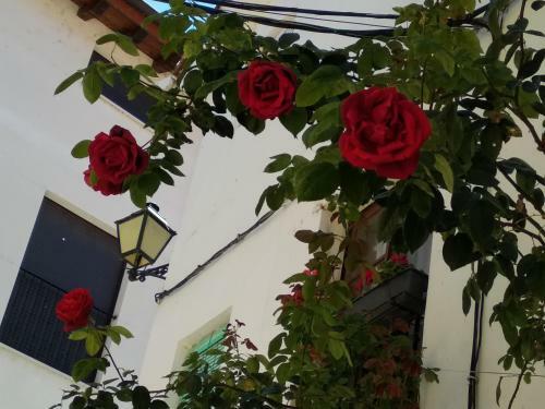 La Casa Del Navarro