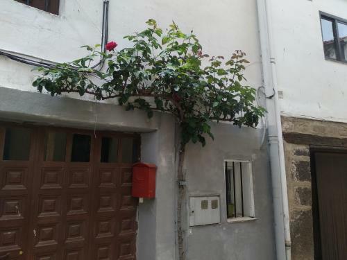 La Casa Del Navarro