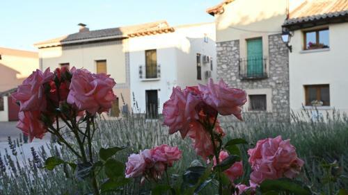 Apartamento Casa Rural Antigua Botica