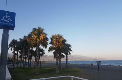 Apartamento Estudio Estrella De Mar
