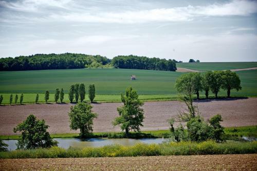 Domaine De Matounet