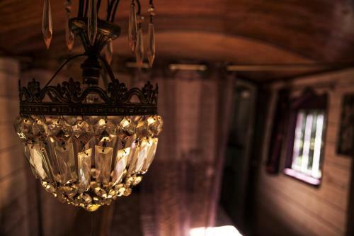 Bed & Breakfast Les Cabanes Des Marais