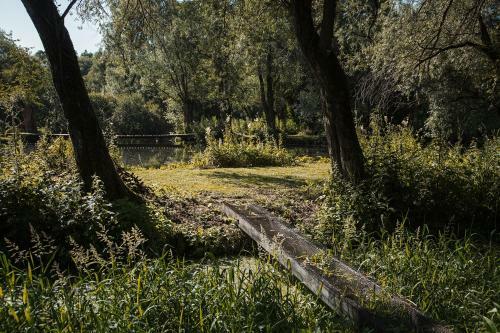 Bed & Breakfast Les Cabanes Des Marais