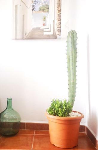 Casa Pedro