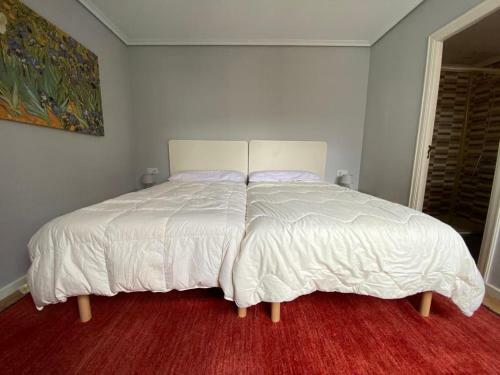 Apartamento Piso Centro 4habitaciones Garaje Rosal�a De Castro