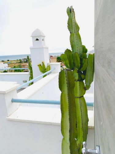 Sue�os De Zahara: Precioso Apartamento