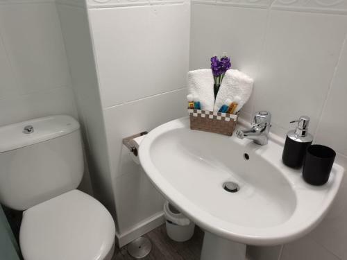 Apartamento Flat In The Best Area