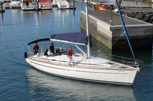 Excursion Ballenas Y Delfines Mojo Picon
