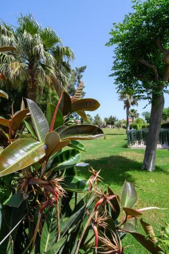 Apartamento Rentalmar Jalisco