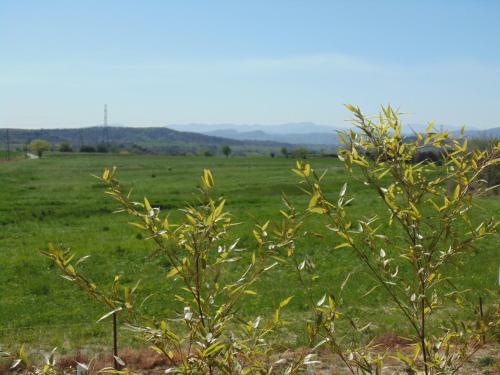 Hostal Une Roulotte � La Campagne
