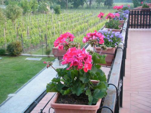 Bed & Breakfast Agriturismo Grillo Iole
