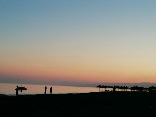 Apartamento Ferrara Playa