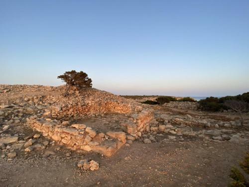Villa Can Jaume 6