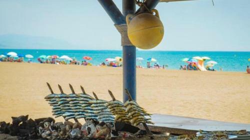 172- Mi Capricho Beachfront Apartment