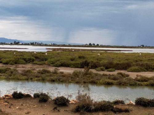 Apartamento Gelum Delta Del Ebro