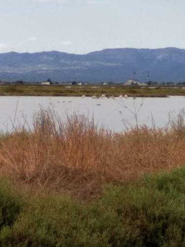 Apartamento Gelum Delta Del Ebro
