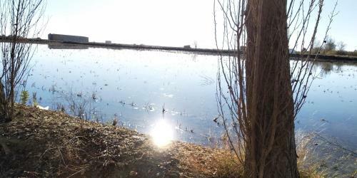Apartamento Gelum Delta Del Ebro
