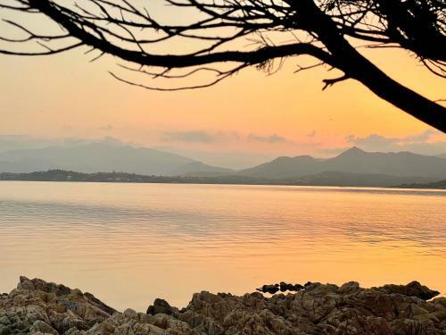 Apartamento San Teodoro Punta Est Curatissimo Bilocale