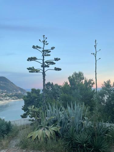 Apartamento Capovaticano - Unique Sea View - Villa Renaissance