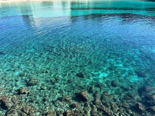 Cosy Apartment With Swimmingpool - 5 Min Walk From The Beach