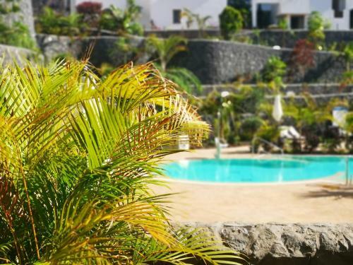 Brand New (2022) Apartment Surrounded By Tropical Gardens!