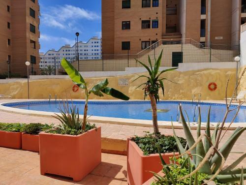 Estrella Honey Apartment