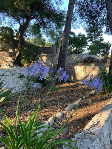Bed & Breakfast Dame Del Mare