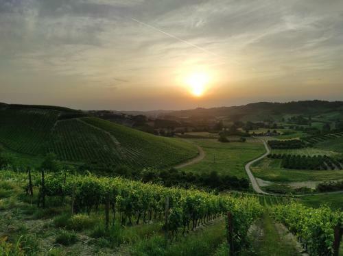Apartamento Oasi Del Monferrato - Appartamento Verde