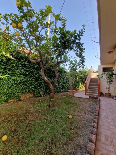 Apartamento Isola Del Sole