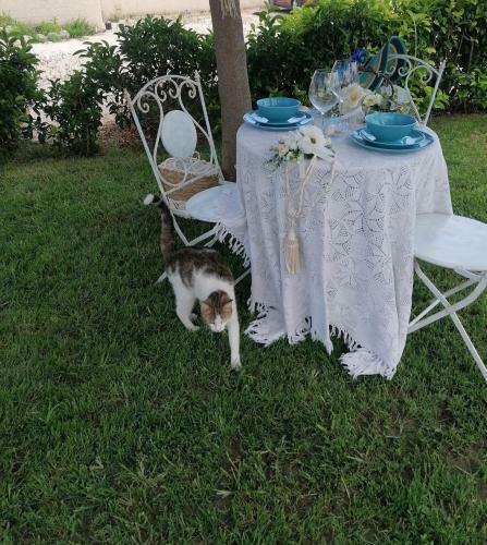Apartamento Ulisse