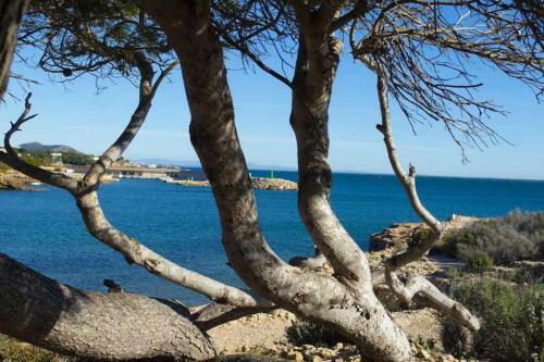 Casa �ntima Con Piscina Privada Cerca Del Mar