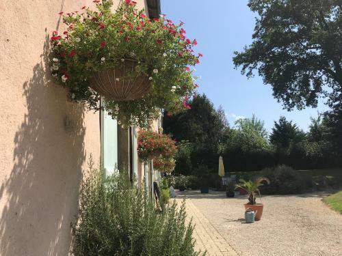 Bed & Breakfast Serendipity
