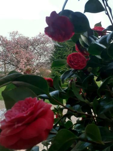 G�tes Normands De Charme Les Ch�taigniers