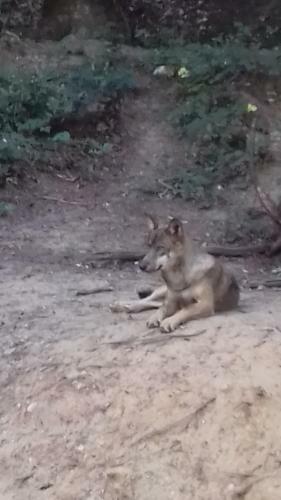 Le G�te De Nath