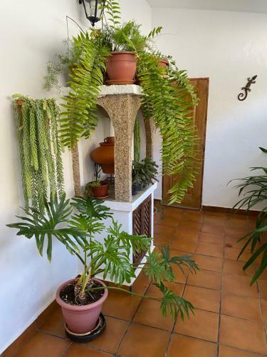 Casa En Mog�n