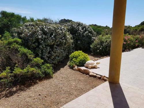 Casa Vacanze Villa Sandrina