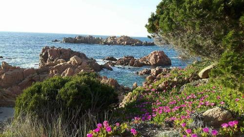 Casa Vacanze Villa Sandrina