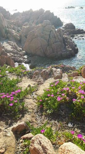 Casa Vacanze Villa Sandrina