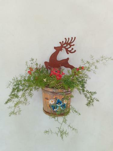 Il Nido (cica)