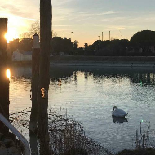 Apartamento Studio In Porto Santa Margherita 42877