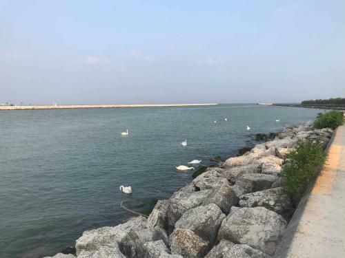 Apartamento Studio In Porto Santa Margherita 42877