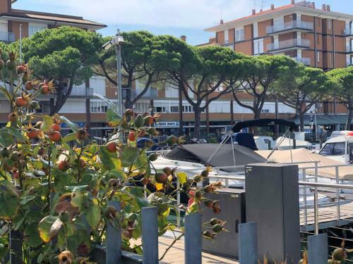 Apartamento Studio In Porto Santa Margherita 42876