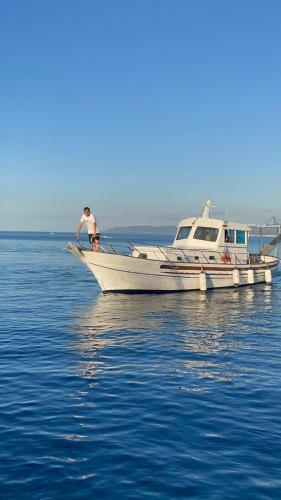 Frapal� Tour Salina
