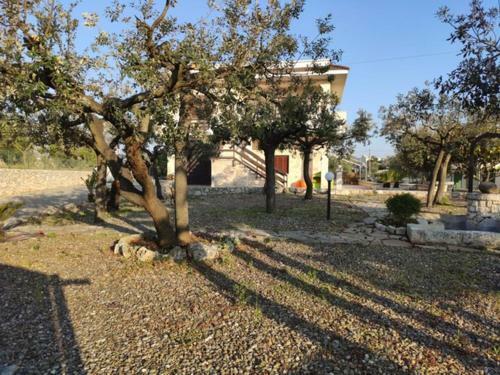 Agroturismo Villa Palmitessa