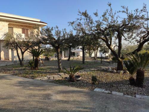 Agroturismo Villa Palmitessa