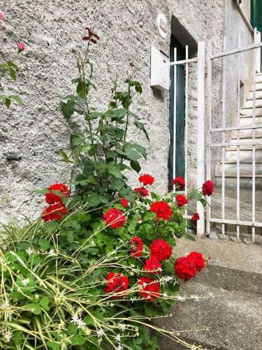 Apartamento La Dolce Vita