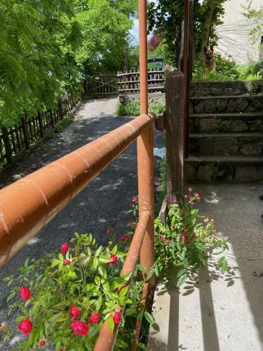 Apartamento Fontana?s House Relax N.7 010065-lt-0009