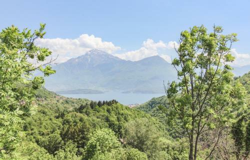Apartamento Casa Dei Gufi