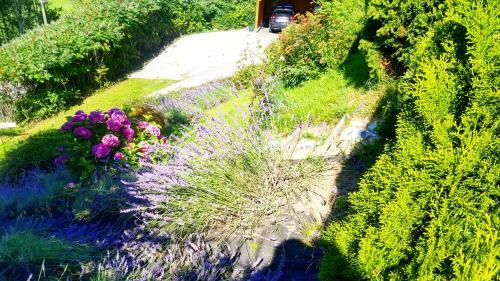 Apartamento Ferienwohnungen Monfreda